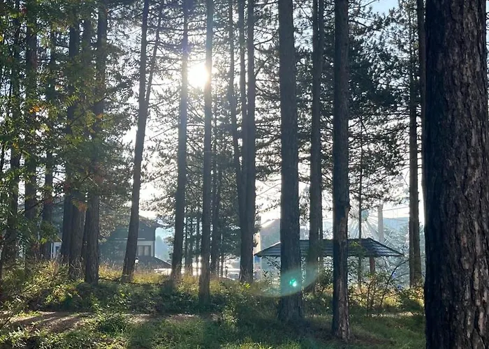 Lika فيلة زلاتيبور